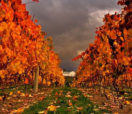 智能学习进步的电话在线轰炸网页版